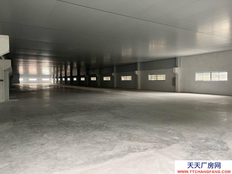 (出租) 江門新會(huì)可分割，小鳥天堂陳皮倉庫出租活動(dòng)價(jià)！一手新裝修無裝修異味