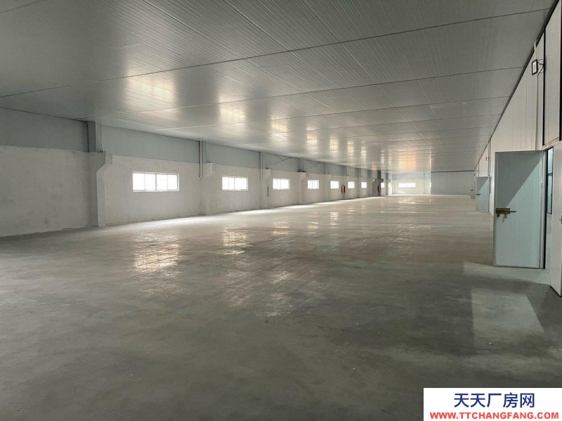 (出租) 江門新會可分割，小鳥天堂陳皮倉庫出租活動價！一手新裝修無裝修異味