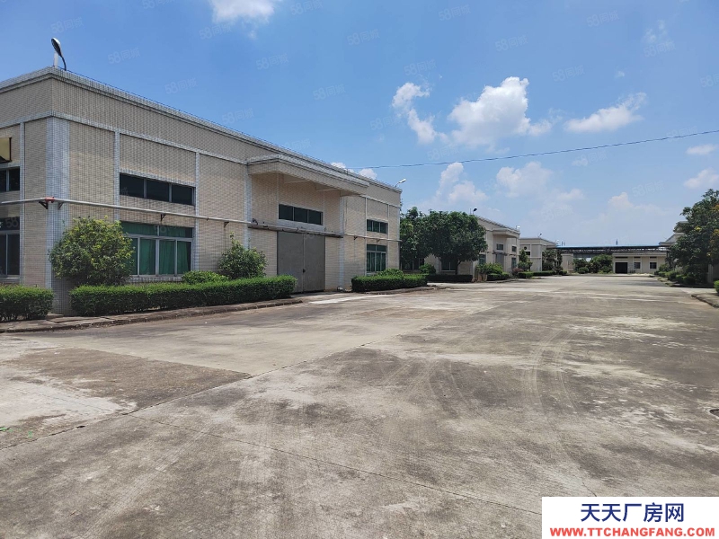 (出租) 江門臺山臺城標準倉庫1000至5000平方出租，可分租