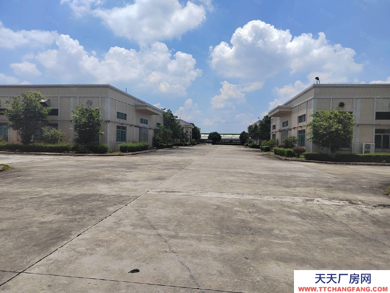 (出租) 江門臺(tái)山臺(tái)城標(biāo)準(zhǔn)倉(cāng)庫(kù)1000至5000平方出租，可分租