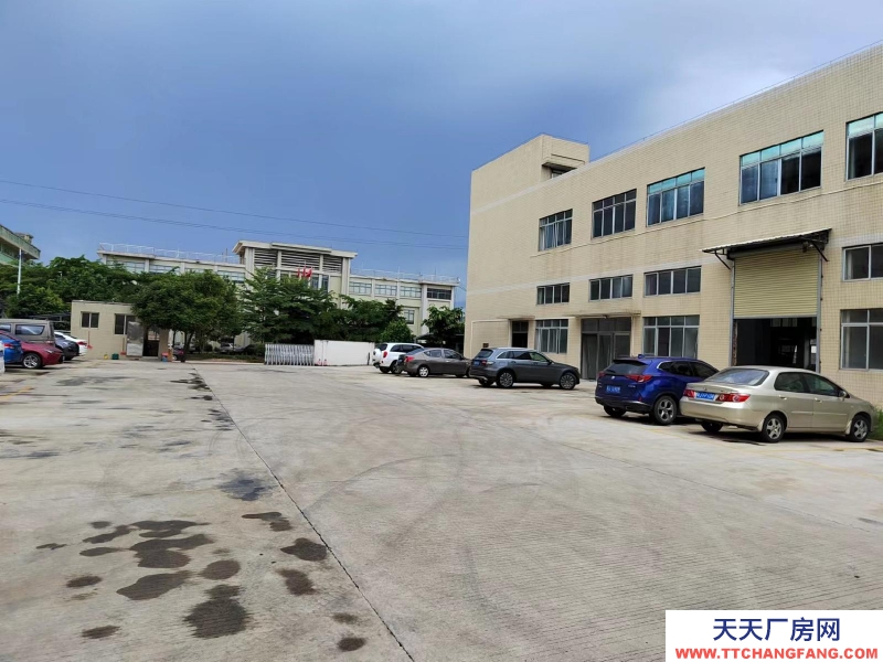 (出租) 江門臺山水步廠房倉庫1000平方招租