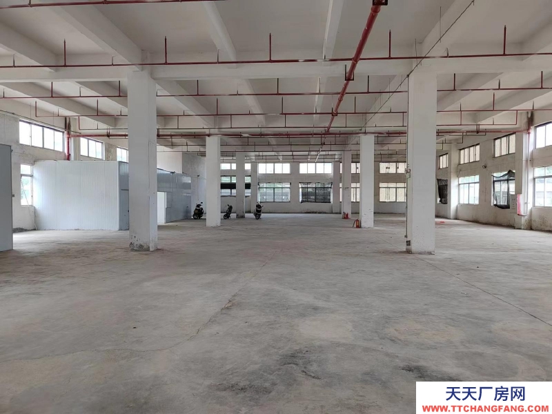 (出租) 江門臺(tái)山水步廠房倉(cāng)庫(kù)1000平方招租