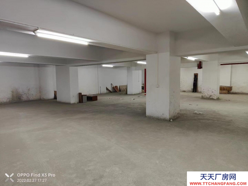 (出租) 江門臺(tái)山位置在市區(qū) 價(jià)格便宜 可以面談