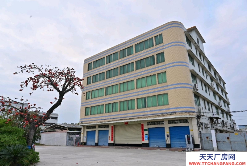 (出租) 江門開平5層高（帶人貨2噸電梯），有獨辦公室，有新能源汽車充電樁