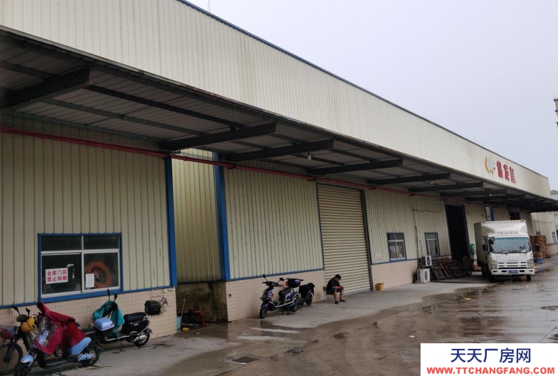 (出租) 江門開平環境優美，交通便利，地勢高，不擔心水浸