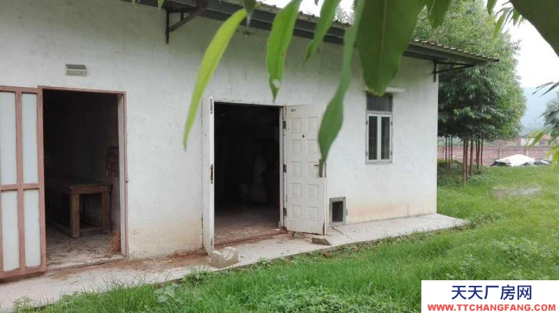 (出租) 江門開平市沙塘鎮麗群鄉