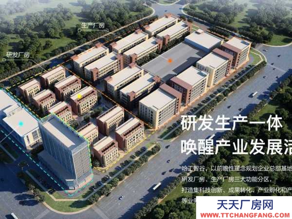 岳陽市云溪區 自貿區 岳陽城陵磯新港區 標準化廠房獨棟辦公樓出租出售