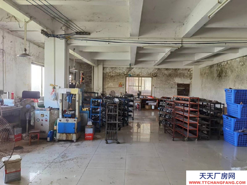 (出租) 江門鶴山公園旁邊，竹樹坡美食街700平方廠房，倉庫出租