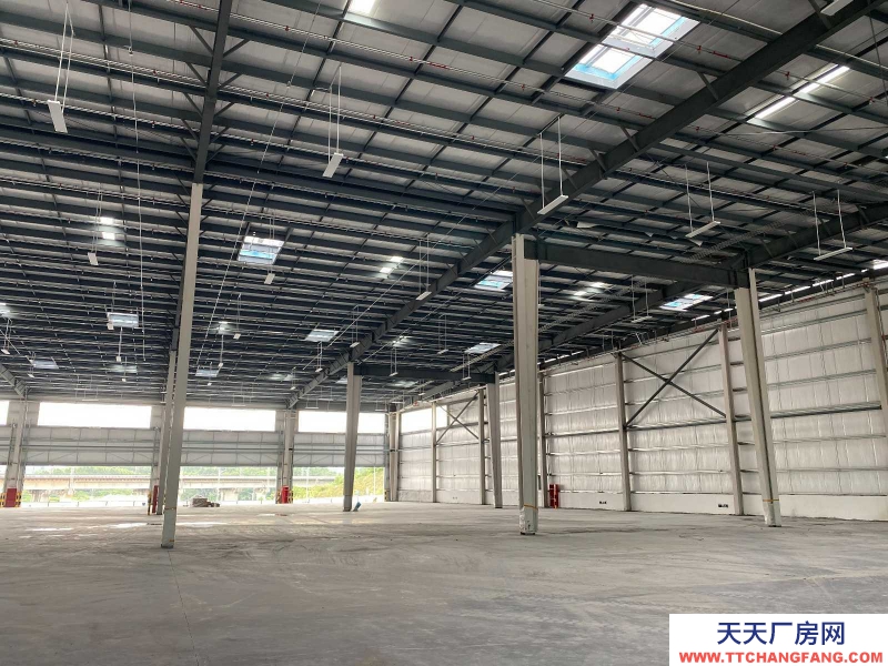 (出租) 江門鶴山桃源鎮120000㎡單層及雙層坡道丙二高臺庫