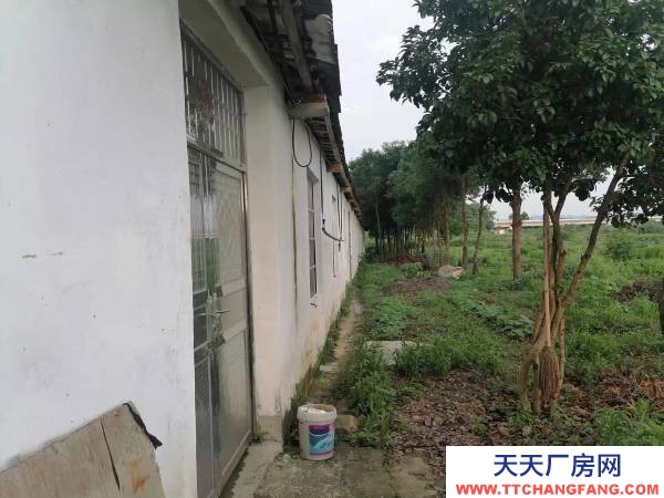 岳陽市云溪區 臨港新區 集裝箱碼頭附近小型倉庫，廠房出租（無任何中介費用）