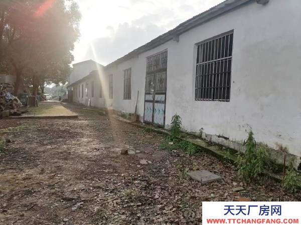 岳陽市云溪區 臨港新區 集裝箱碼頭附近小型倉庫，廠房出租（無任何中介費用）