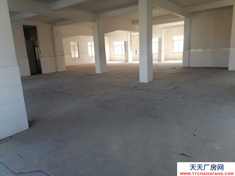 (出租) 江門鶴山市古勞鎮(zhèn)新街二、三、四、五層可做宿舍倉庫