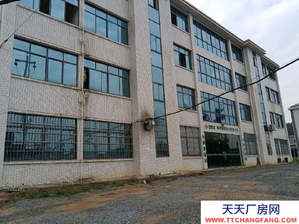 郴州市北湖區 4層樓整幢辦公樓、廠房 、倉庫出租，可分租