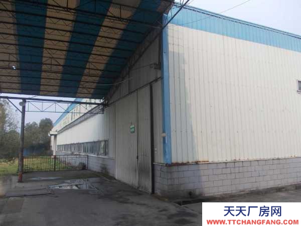 (出售) 出售-廠房加土地整體出售