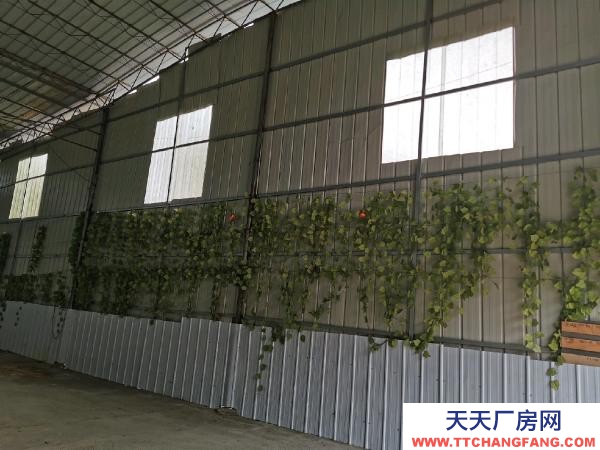 郴州市蘇仙區(qū) 空間大 面積闊 交通便利