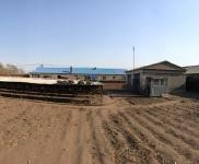 (出售) 出租出售寧江江南2000平自家農村房院 非誠勿擾