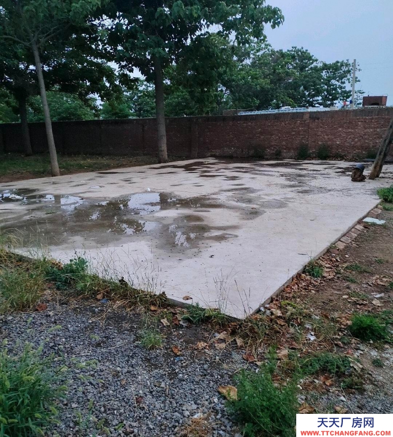 邢臺 橋東區 (出租) 個人大院，水電齊全，交通便利