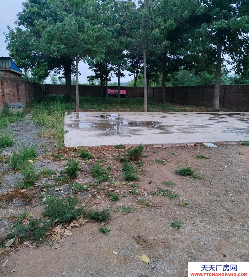 邢臺 橋東區 (出租) 個人大院，水電齊全，交通便利