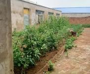 (出售) 寧江整體面積1000平，位置非常好，離松原大路幾百米