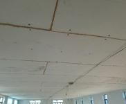 (出租) 寧江條件好，有意者請電話咨詢