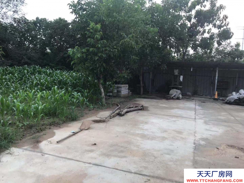 邢臺 橋東區 (出租) 高開區王快鎮前樓下廠房倉庫出租