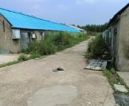 (出租)前郭 廠房4000平，院子3000平