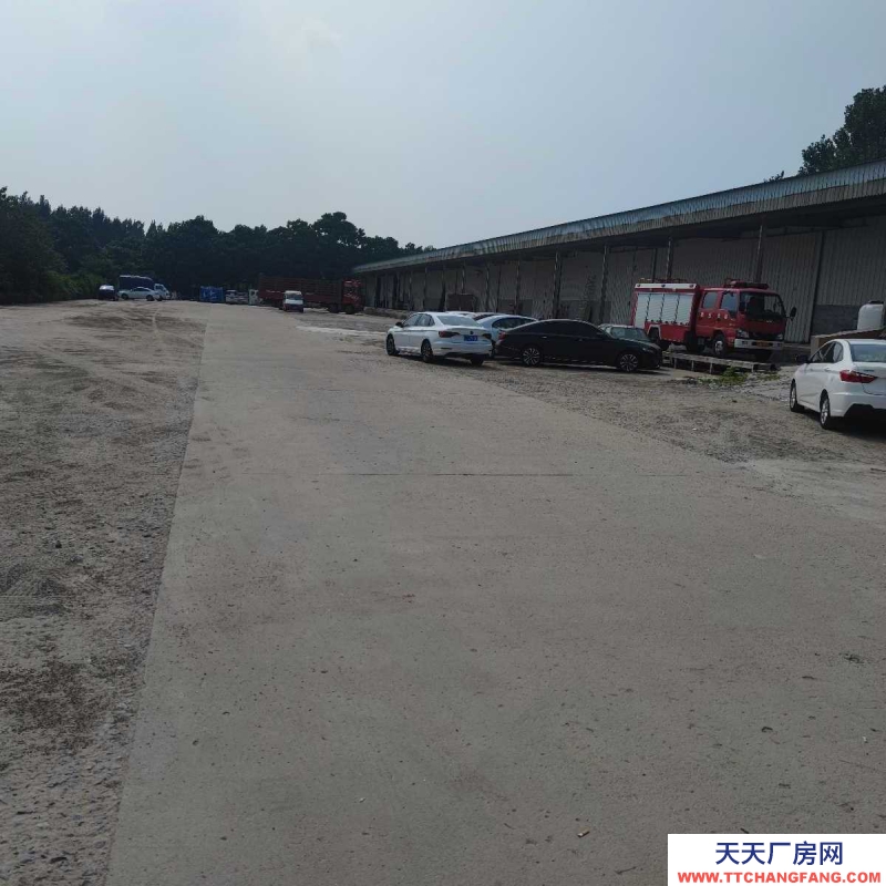 邢臺 橋西區 (出租) 出租橋西邢州大道倉庫場地