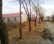 (出售)乾安 廠房64間 土地7萬平 可以用于養殖、加工等