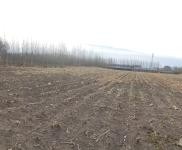 (出租)乾安 院子2萬(wàn)平，建筑面積500平，可養(yǎng)殖可做糧庫(kù)。價(jià)格面議