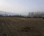 (出租)乾安 院子2萬平，建筑面積500平，可養殖可做糧庫。價格面議