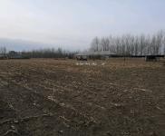 (出租)乾安 院子2萬(wàn)平，建筑面積500平，可養(yǎng)殖可做糧庫(kù)。價(jià)格面議