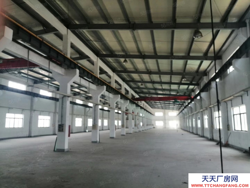 (出租) 出租德清乾元3300方單層層高12米五帶行車五噸，