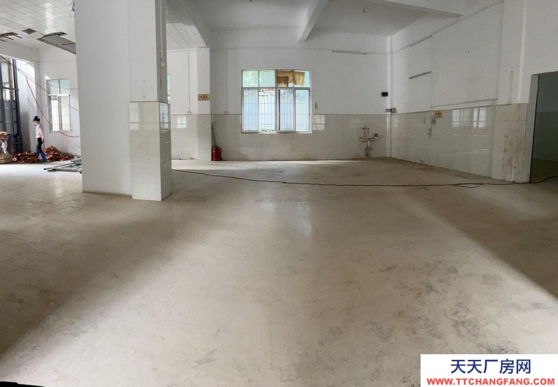 (出租) 湛江用途廣泛，價格實惠，歡迎電話看房。