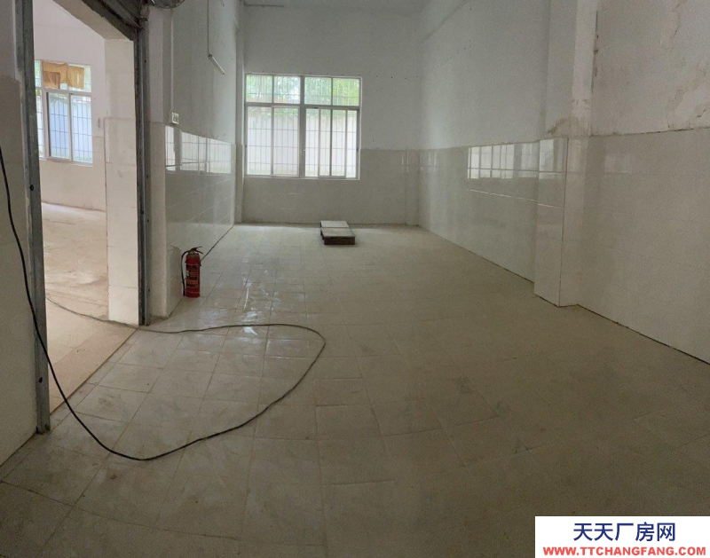 (出租) 湛江用途廣泛,價格實惠,歡迎電話看房。