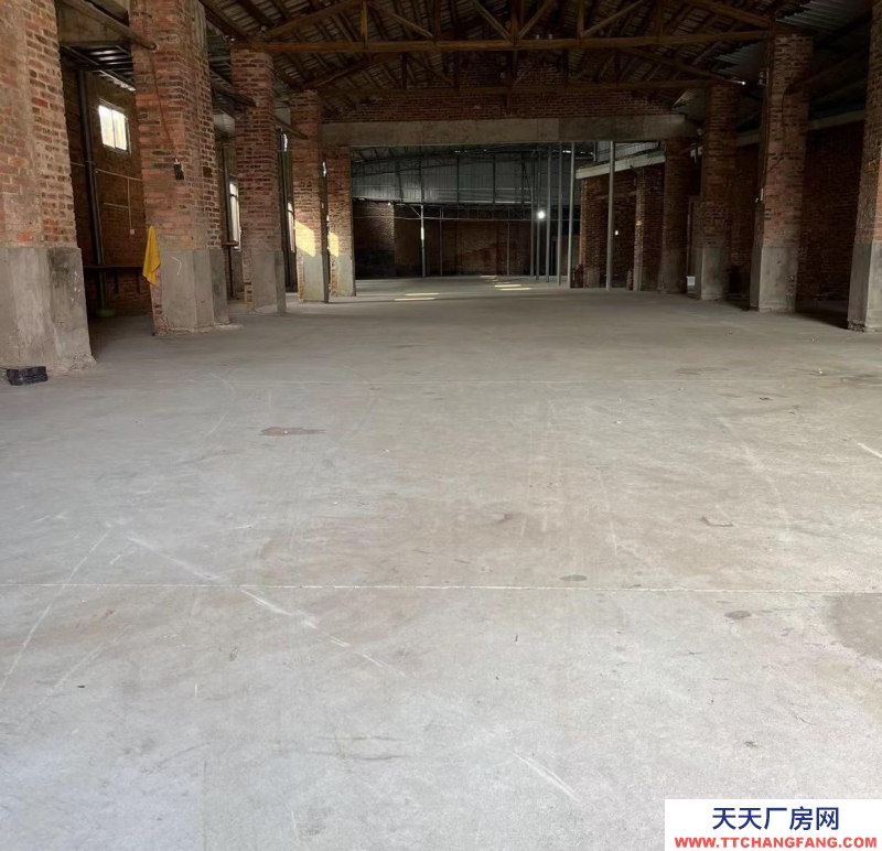 (出租) 湛江北橋路廠房 車輛可進 臨近大路