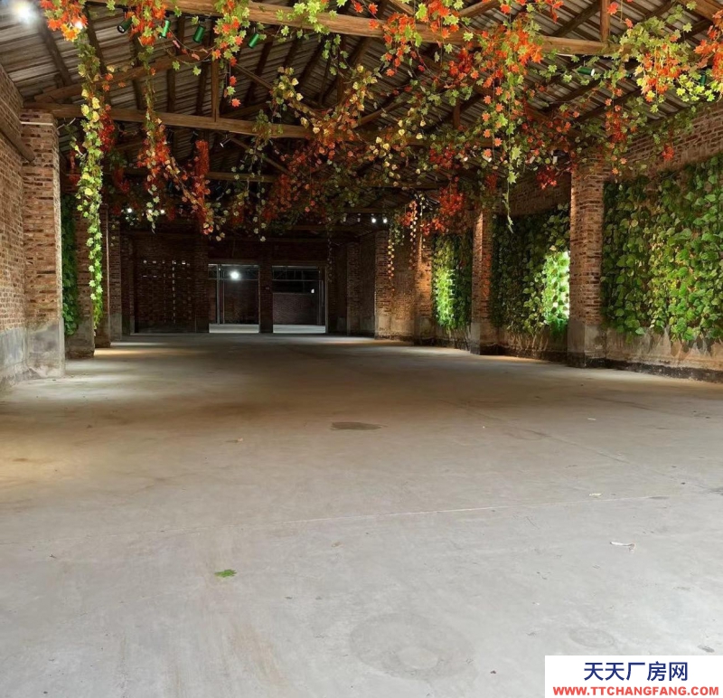 (出租) 湛江北橋路廠房 車輛可進 臨近大路