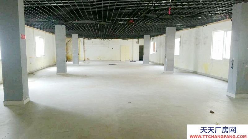 (出租) 湛江霞山愛琴海附近廠房出租約500平方2層