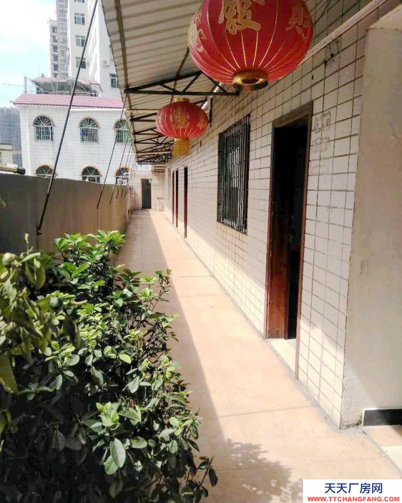 (出租) 湛江霞山愛琴海附近廠房出租約500平方2層