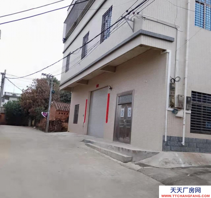 (出租) 全新框架1.2樓、帶電梯倉庫、廠房、出租（電380v）