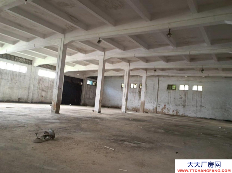 (出租) 霞山森林公園廠房出租