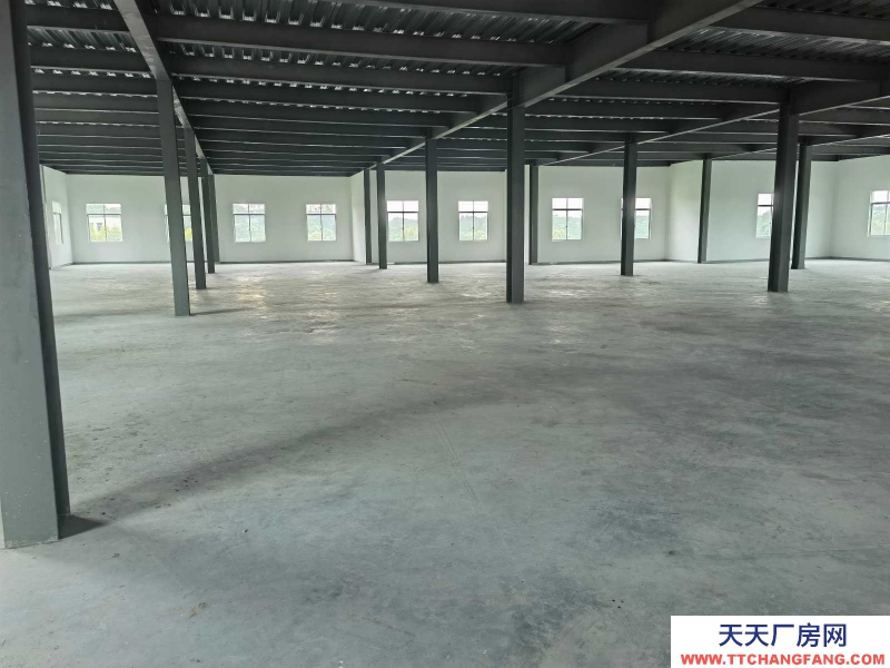 (出租) 坡頭區官渡鎮全新2700平方廠房出租