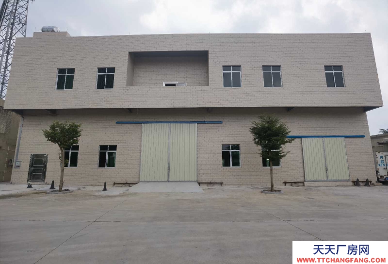 (出租) 坡頭區官渡鎮全新2700平方廠房出租