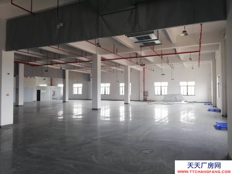 (出租) 湛江坡頭城區龍頭工業園廠房倉庫