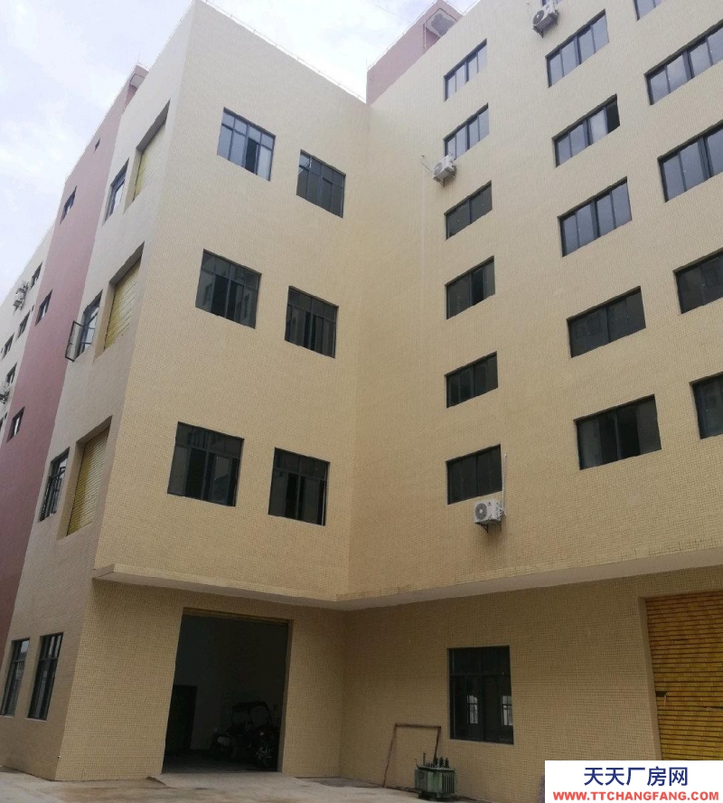 (出租) 湛江坡頭城區龍頭工業園廠房倉庫