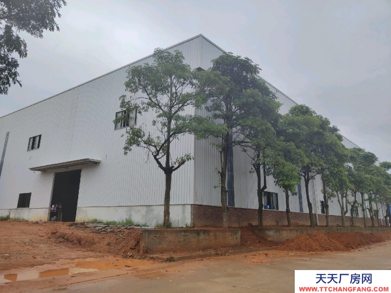 (出租) 坡頭工業園4000平廠房出租可以分租