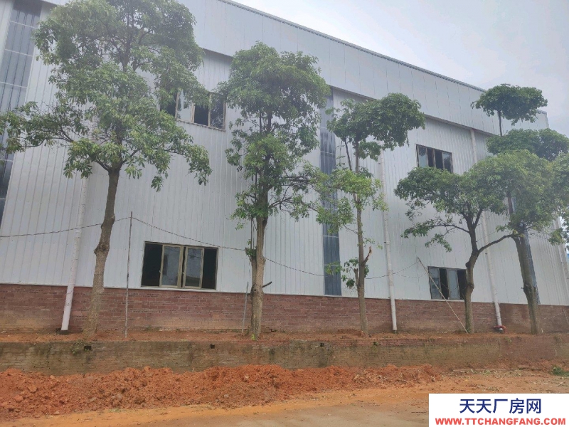 (出租) 坡頭工業園4000平廠房出租可以分租