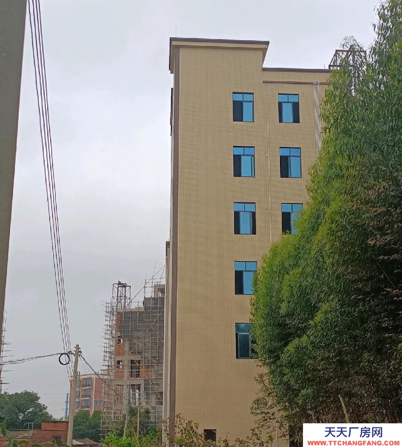 (出租) 湛江六層全新私人樓整棟出租