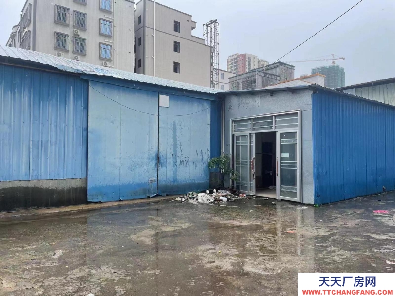 (出租) 1230平方廠房位于湛江麻章金洋路88號，可整租也可分租。