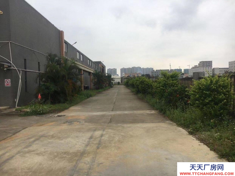 (出租) 麻章赤坎霞山2萬(wàn)方倉(cāng)庫(kù)廠房出租