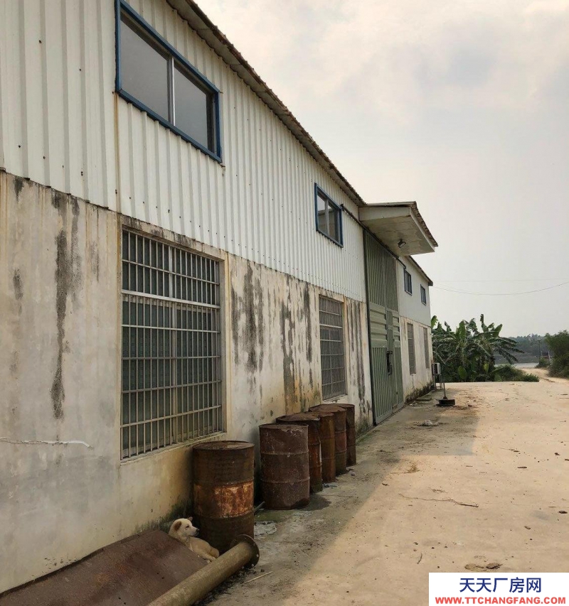 (出租) 遠(yuǎn)離居民的樓廠房出租